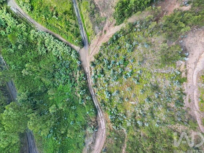 Terreno para Venda em Campanario Foto 18
