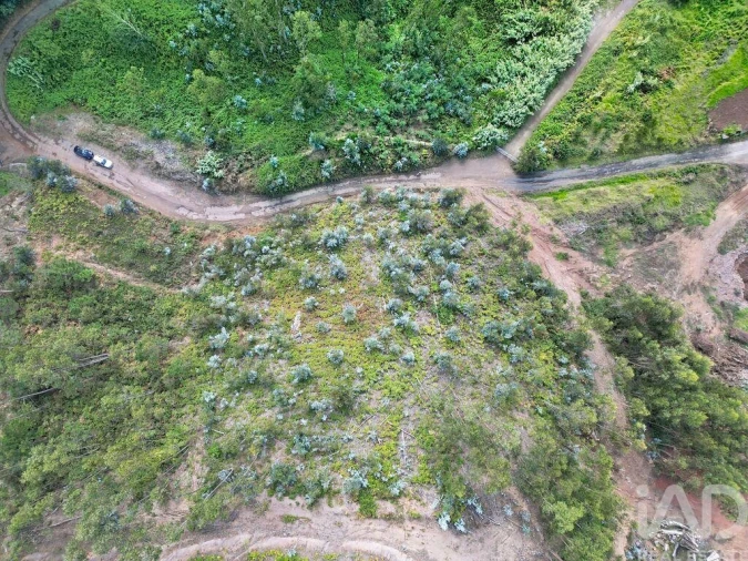 Terreno para Venda em Campanario Foto 16