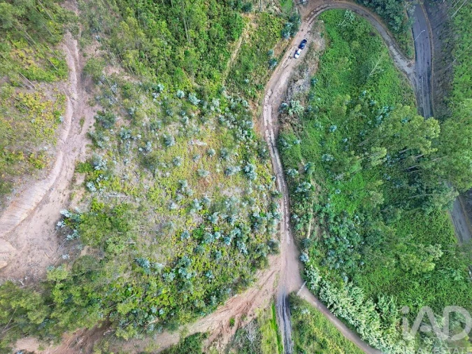 Terreno para Venda em Campanario Foto 5