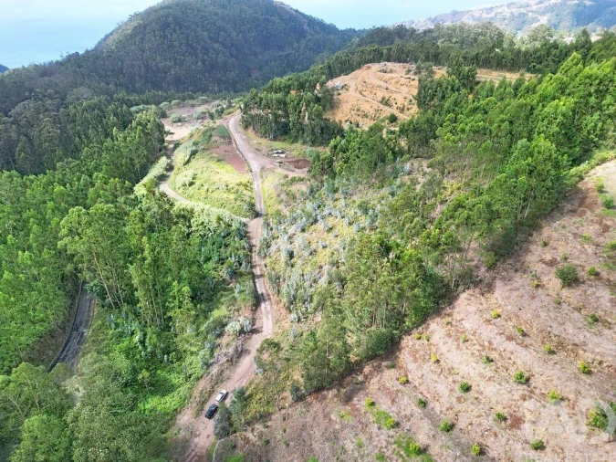 Terreno para Venda em Campanario Foto 7