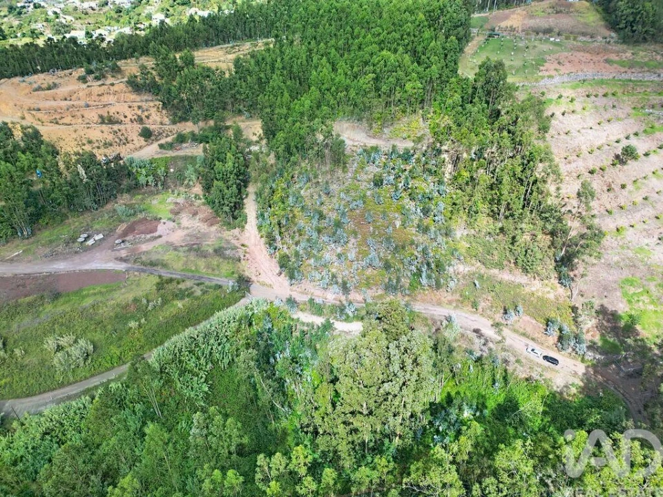 Terreno para Venda em Campanario Foto 1