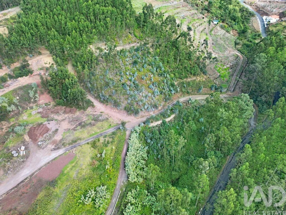 Terreno para Venda em Campanario Foto 11