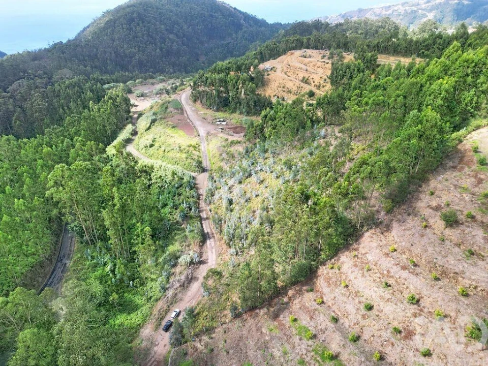 Terreno para Venda em Campanario Foto 7