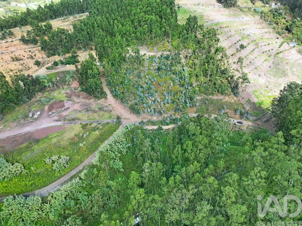 Terreno para Venda em Campanario Foto 12