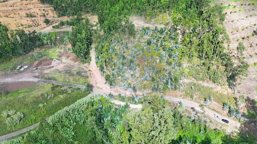 Terreno para Venda em Campanario