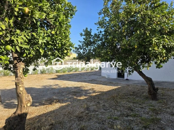 Terreno Misto para Venda em Boliqueime Foto 16