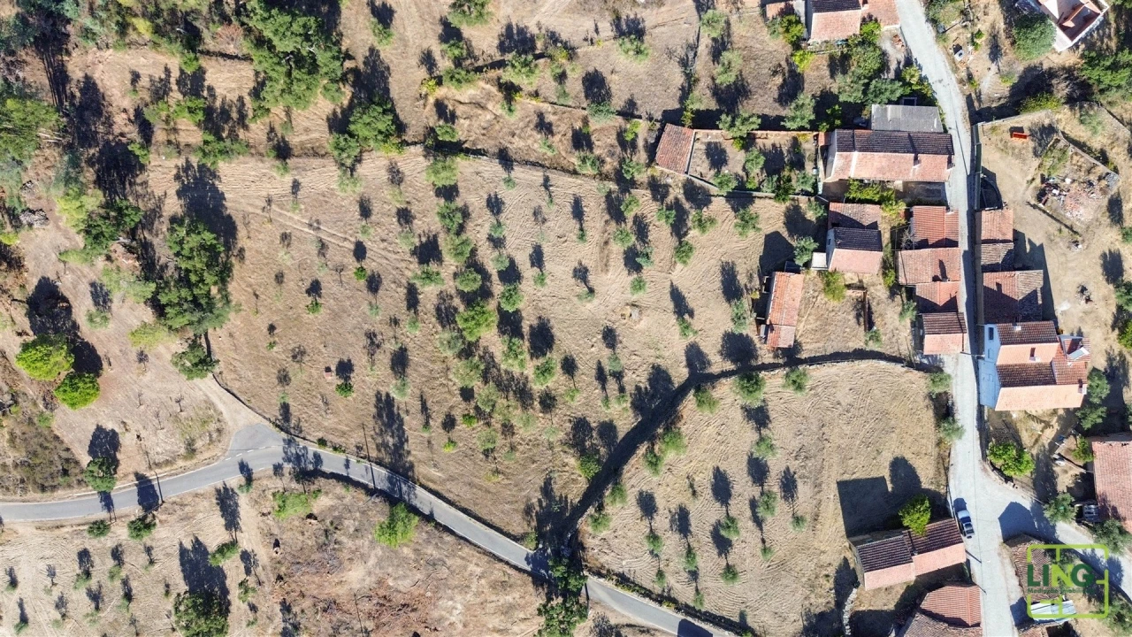 Quinta T0 para Venda em Sarzedas Foto 3