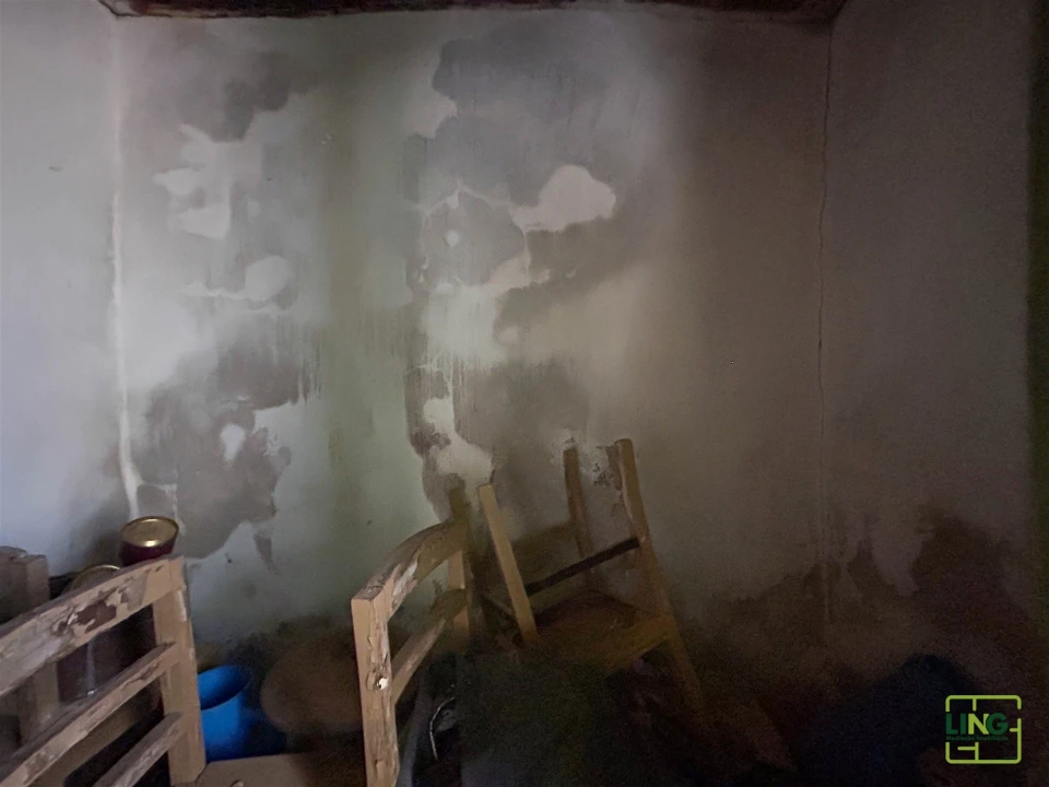 Quinta T0 para Venda em Sarzedas Foto 25