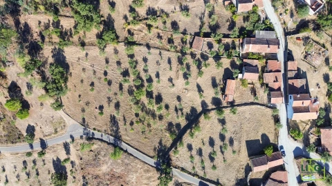 Quinta T0 para Venda em Sarzedas