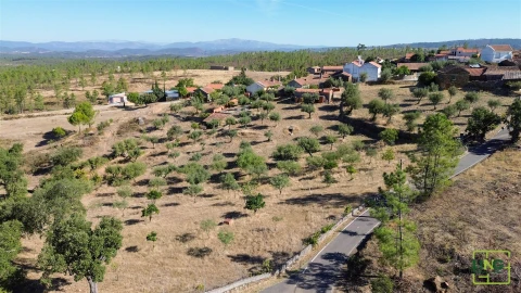 Quinta T0 para Venda em Sarzedas