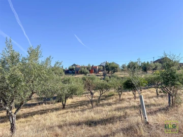 Quinta T0 para Venda em Sarzedas