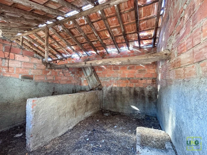 Quinta T0 para Venda em Sarzedas Foto 53
