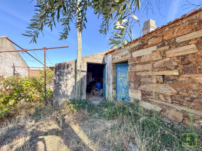 Quinta T0 para Venda em Sarzedas Foto 44