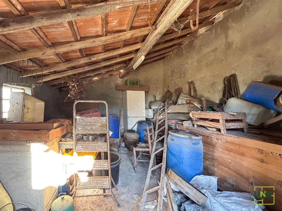 Quinta T0 para Venda em Sarzedas Foto 46