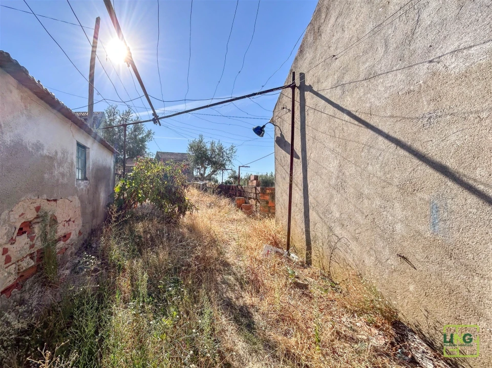 Quinta T0 para Venda em Sarzedas Foto 34