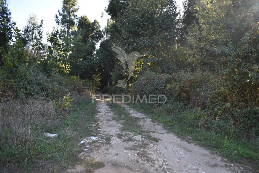 Terreno para Venda em Serzedo e Perosinho Foto 2