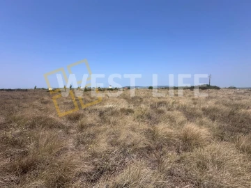 Terreno para Venda em Santa Maria, São Pedro e Matacães