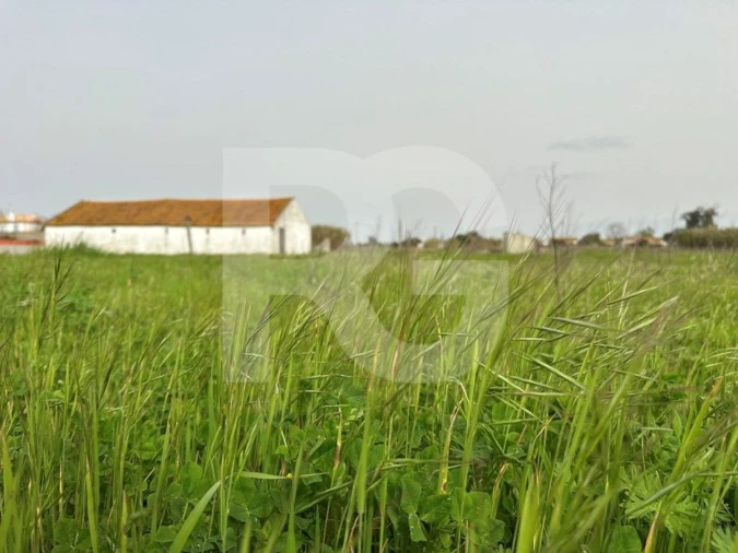 Moradia T3 para Venda em Atalaia e Alto Estanqueiro-Jardia Foto 31