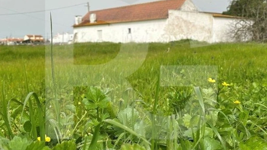 Moradia T3 para Venda em Atalaia e Alto Estanqueiro-Jardia