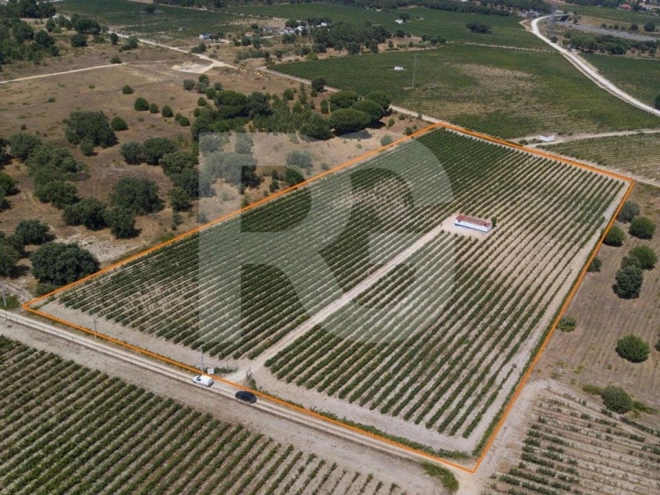 Terreno Agricola ou Rústico para Venda em Palmela Foto 2