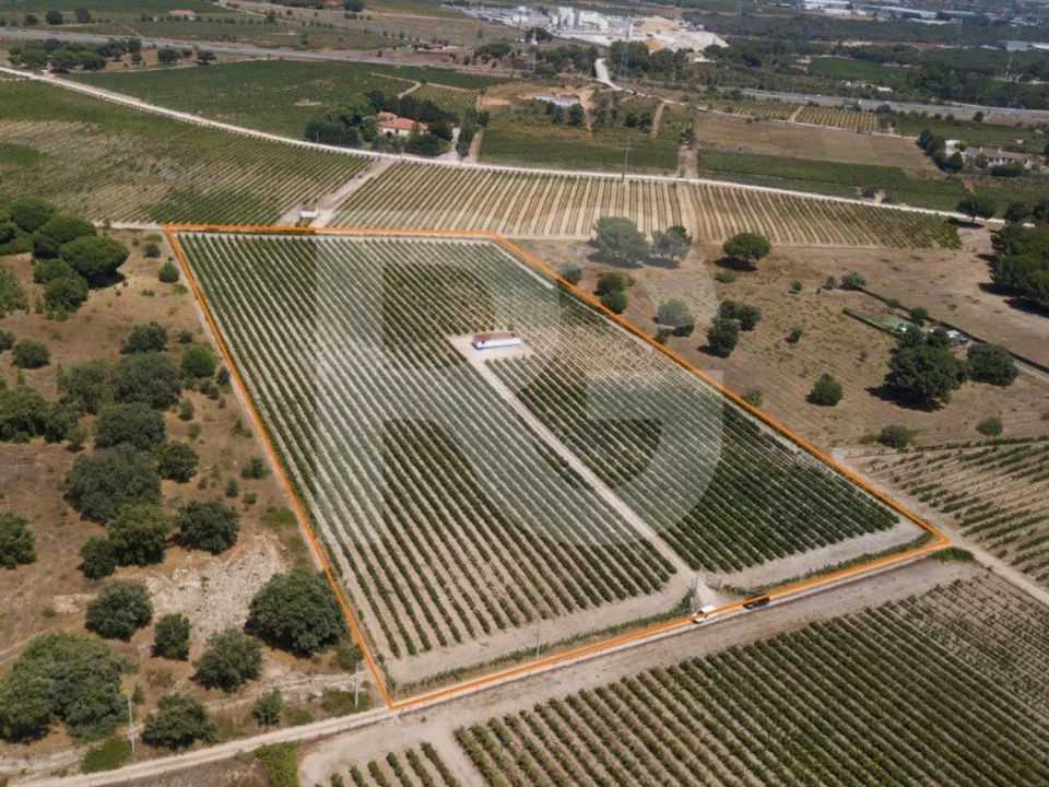 Terreno Agricola ou Rústico para Venda em Palmela Foto 3