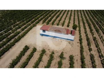 Terreno Agricola ou Rústico para Venda em Palmela