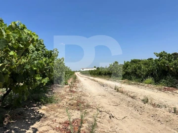 Terreno Agricola ou Rústico para Venda em Palmela