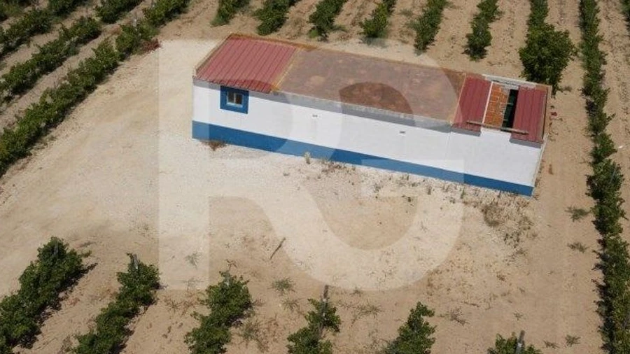 Terreno Agricola ou Rústico para Venda em Palmela