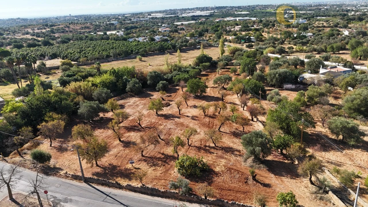 Terreno para Venda em Conceição e Estoi Foto 3