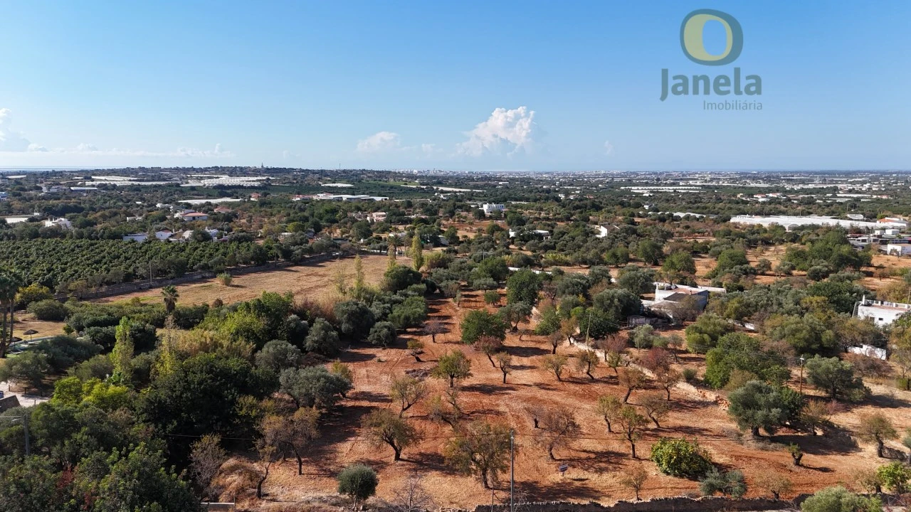 Terreno para Venda em Conceição e Estoi Foto 6