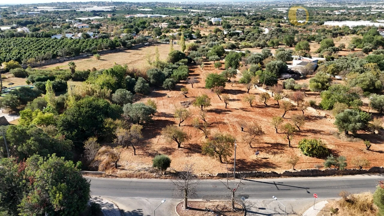 Terreno para Venda em Conceição e Estoi Foto 9