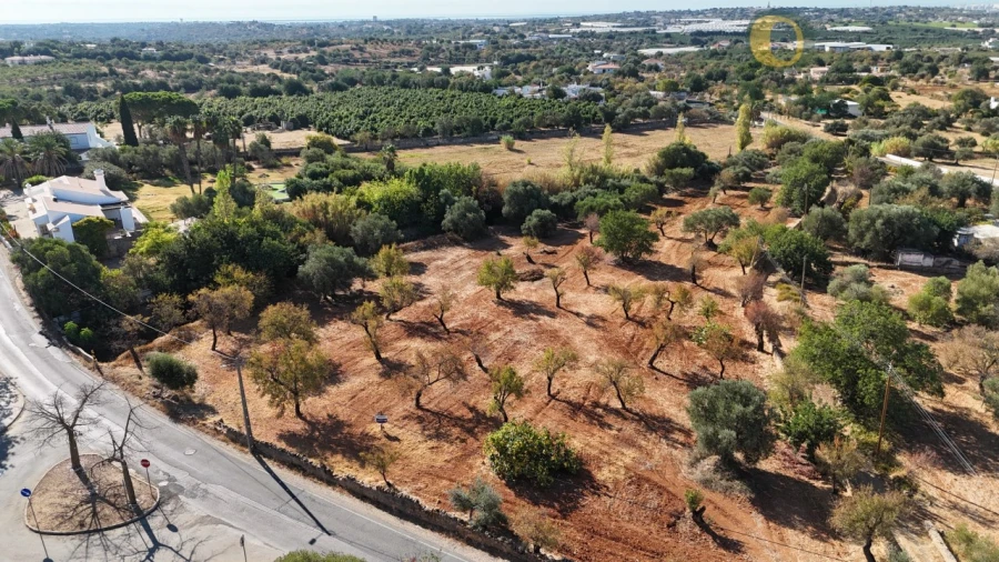 Terreno para Venda em Conceição e Estoi Foto 2