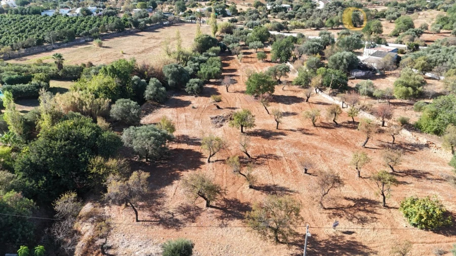 Terreno para Venda em Conceição e Estoi Foto 7