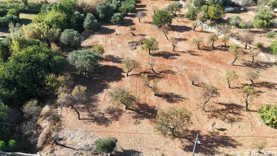 Terreno para Venda em Conceição e Estoi Foto 8