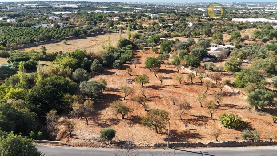 Terreno para Venda em Conceição e Estoi Foto 11