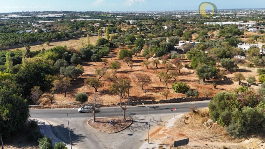 Terreno para Venda em Conceição e Estoi