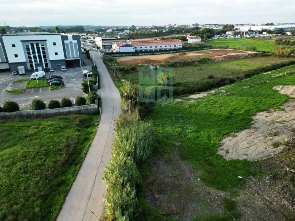 Terreno para Venda em Santa Maria e São Miguel, São Martinho, São Pedro Penaferrim Foto 12