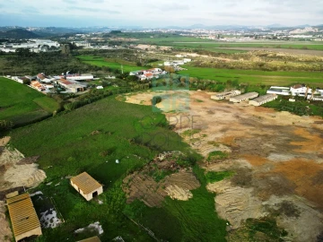 Terreno para Venda em Santa Maria e São Miguel, São Martinho, São Pedro Penaferrim