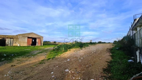 Terreno para Venda em Santa Maria e São Miguel, São Martinho, São Pedro Penaferrim