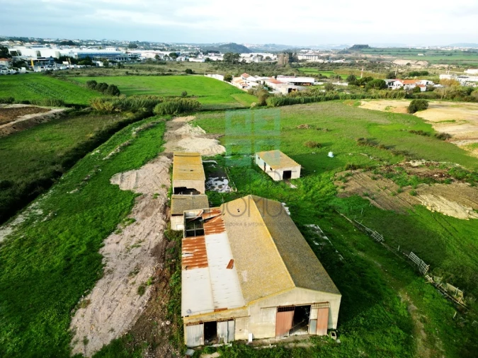 Terreno para Venda em Santa Maria e São Miguel, São Martinho, São Pedro Penaferrim Foto 2