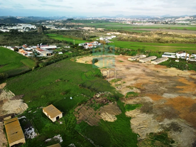 Terreno para Venda em Santa Maria e São Miguel, São Martinho, São Pedro Penaferrim Foto 3