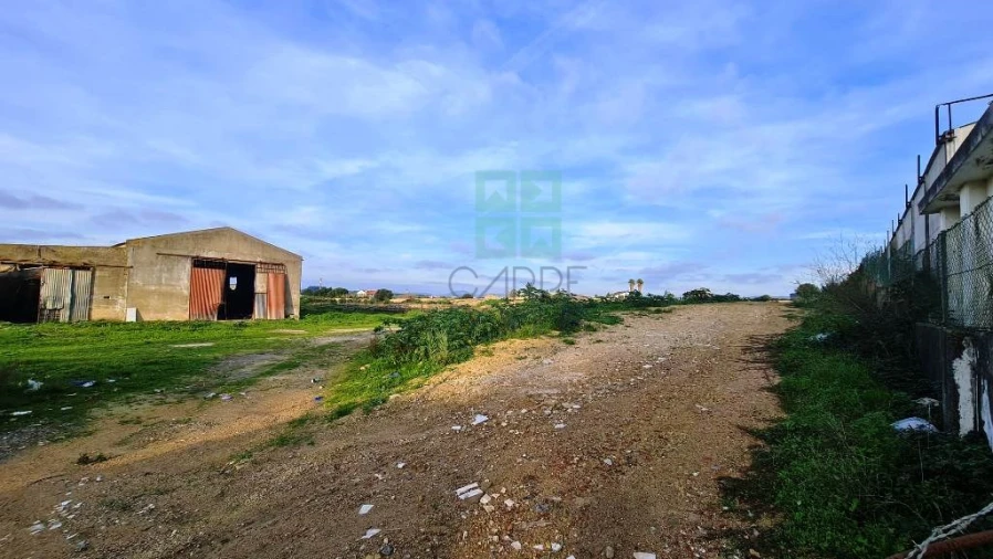 Terreno para Venda em Santa Maria e São Miguel, São Martinho, São Pedro Penaferrim Foto 6