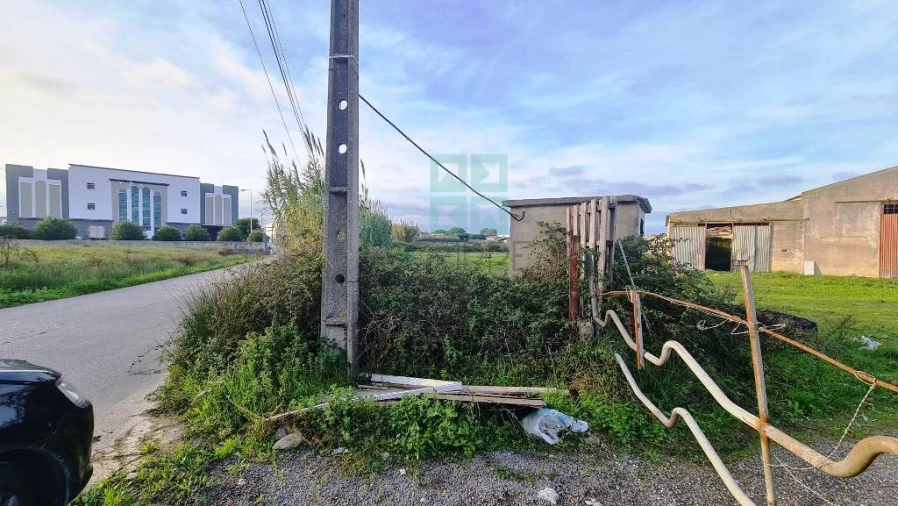Terreno para Venda em Santa Maria e São Miguel, São Martinho, São Pedro Penaferrim Foto 13
