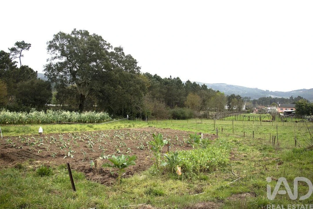 Moradia T4 para Venda em Cerdal Foto 3