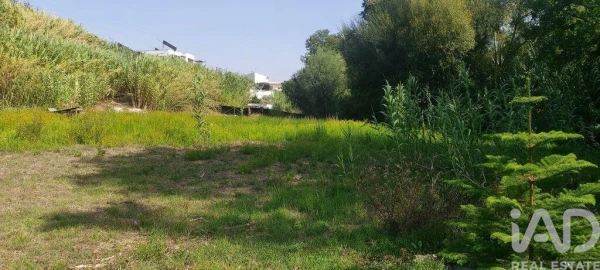 Terreno para Venda em Coz, Alpedriz e Montes