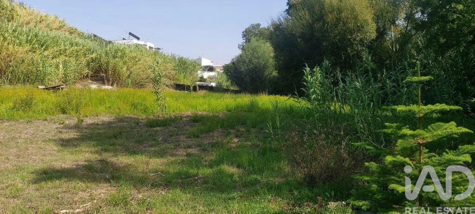 Terreno para Venda em Coz, Alpedriz e Montes Foto 5