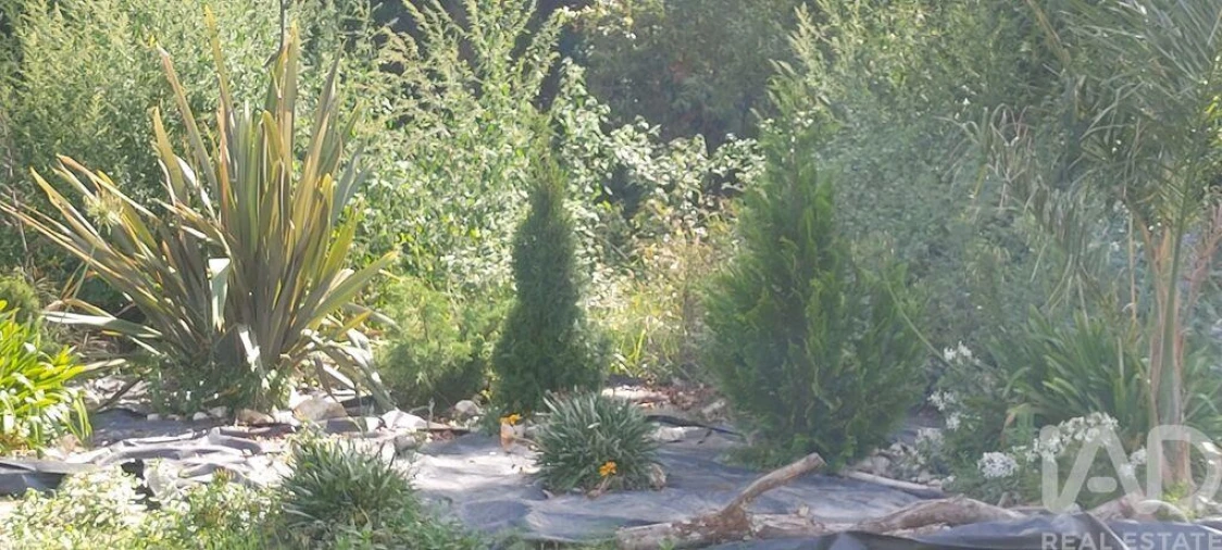Terreno para Venda em Coz, Alpedriz e Montes Foto 3