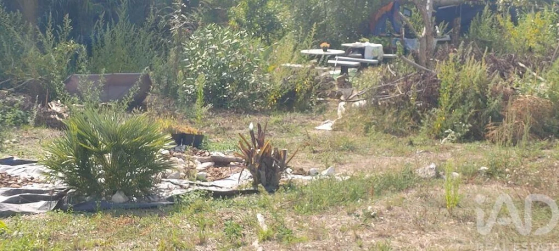 Terreno para Venda em Coz, Alpedriz e Montes Foto 2