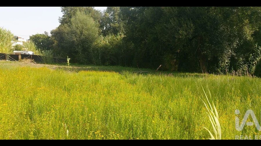 Terreno para Venda em Coz, Alpedriz e Montes