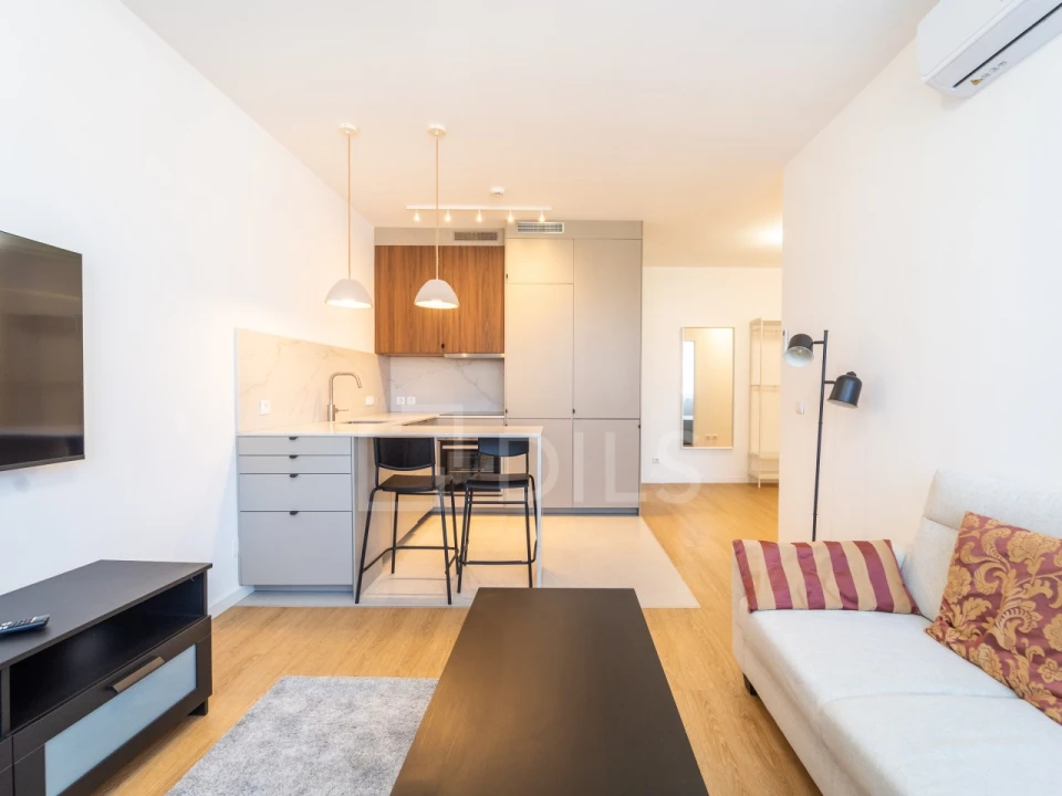 Apartamento T1 para Venda em Cedofeita, Santo Ildefonso, Sé, Miragaia, São Nicolau e Vitória Foto 1